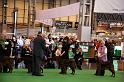 Crufts2010 970